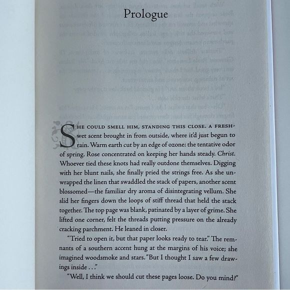 BOOK, Lost Diary of Venice, Margaux DeRoux NWT - Picture 4 of 14